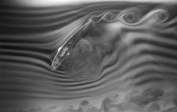 Fog (water particle) wind tunnel visualization of a NACA 4412 airfoil at a low speed flow (Re=20.000). The image is released to the public domain courtesy of Smart Blade GmbH (www.smart-blade.com)